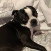 aubree_f123